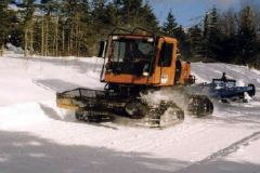 groomer2