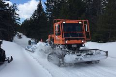 senbsa-sno-cat-groomer-02