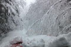 CALEDONIA-MTN-19-DEC-2012-B