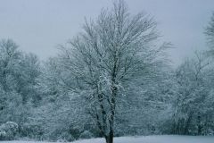 Good_Winter