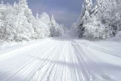 nb-trail-2