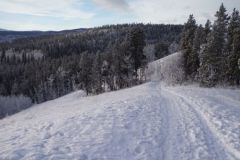 nb-trail-3