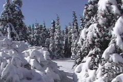 scenery9