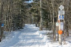 senbsa-trails-0