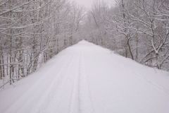 senbsa-trails-2
