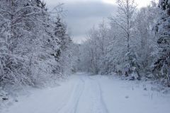 senbsa-trails-7